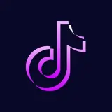 TikTok Downloader Bot bot