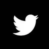 @twitterdlrobot bot