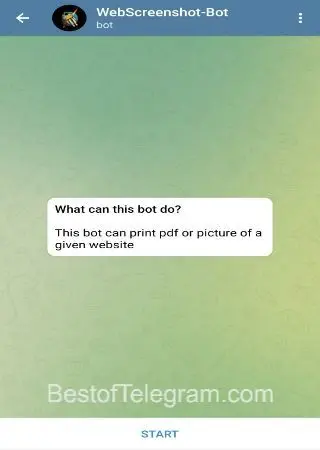 WebScreenshot-Bot preview 1