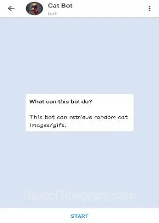 Cat Bot preview 1