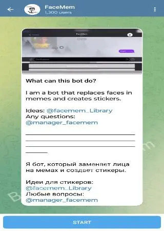 FaceMem preview 1