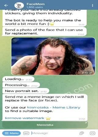 FaceMem preview 2