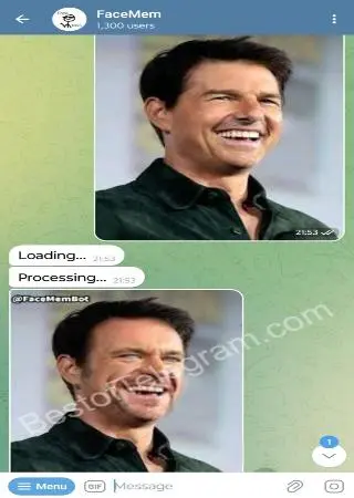 FaceMem preview 3