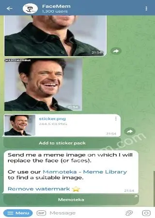 FaceMem preview 4