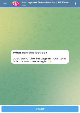 IG Downloader preview 1