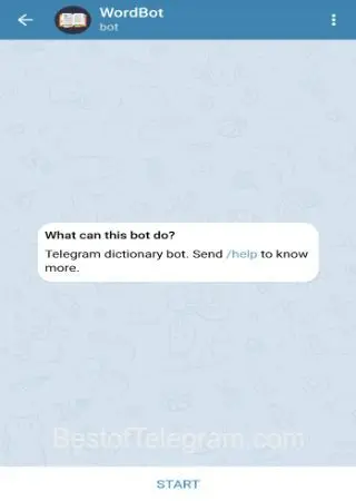 WordBot preview 1