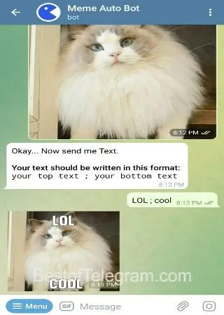 Meme Auto Bot preview 2