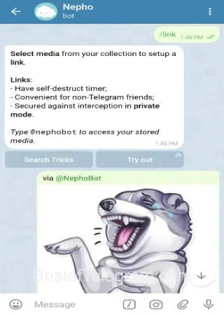 Nepho preview 6