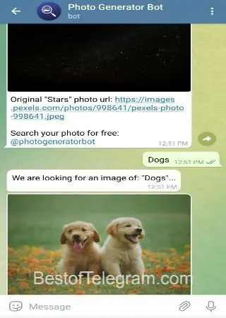 Photo Generator Bot preview 3