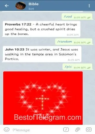 Bible preview 2