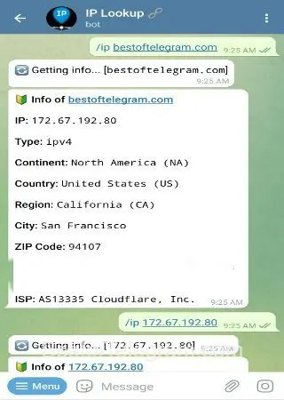 IP Lookup preview 2