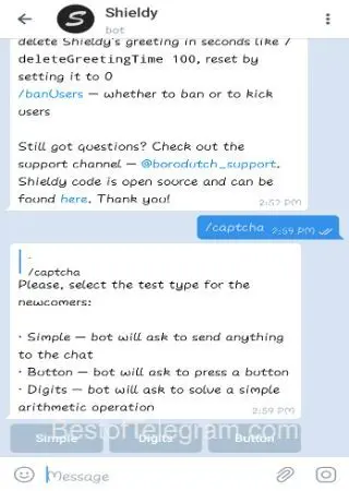 Shieldy preview 2