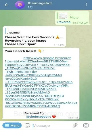 the image bot preview 3