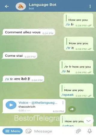 Language Bot preview 2