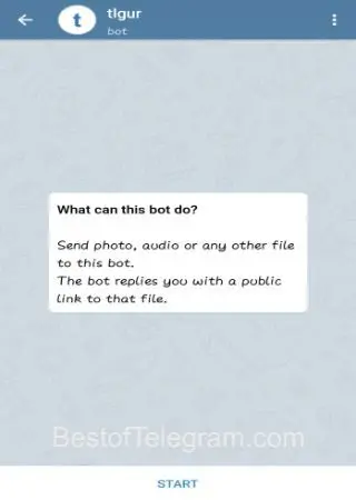 tlgur preview 1