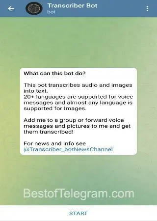 Transcriber Bot preview 1