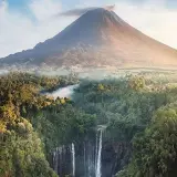 Nature Is Lit
