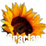 Sticker 54
