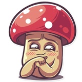 Amanita