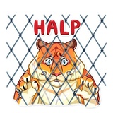 Sticker 11