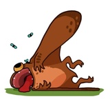 Sticker 25