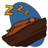 Sticker 27