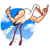 Sticker 17
