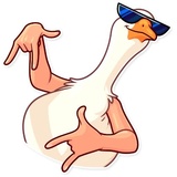 Sticker 24