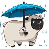 Sticker 19