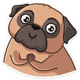 Boone sticker pack