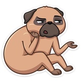 Sticker 27