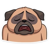 Sticker 31