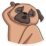 Sticker 8