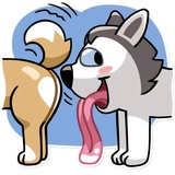 Sticker 11