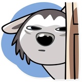 Sticker 19