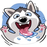 Sticker 5