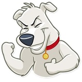 Sticker 28