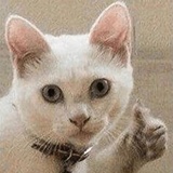 Sticker 3