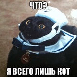 Sticker 60