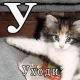 Sticker 84