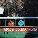 Sticker 32