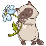 Sticker 23