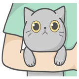 Sticker 31