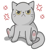 Sticker 5