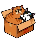 Sticker 16