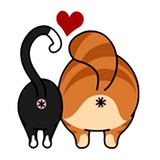 Sticker 24
