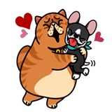 Sticker 49