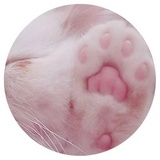 Sticker 10