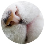 Sticker 12