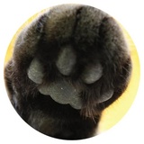 Sticker 2